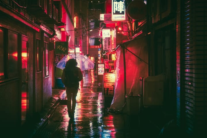 Rain, neon and the last trains home